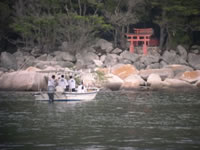 養父崎神社_U